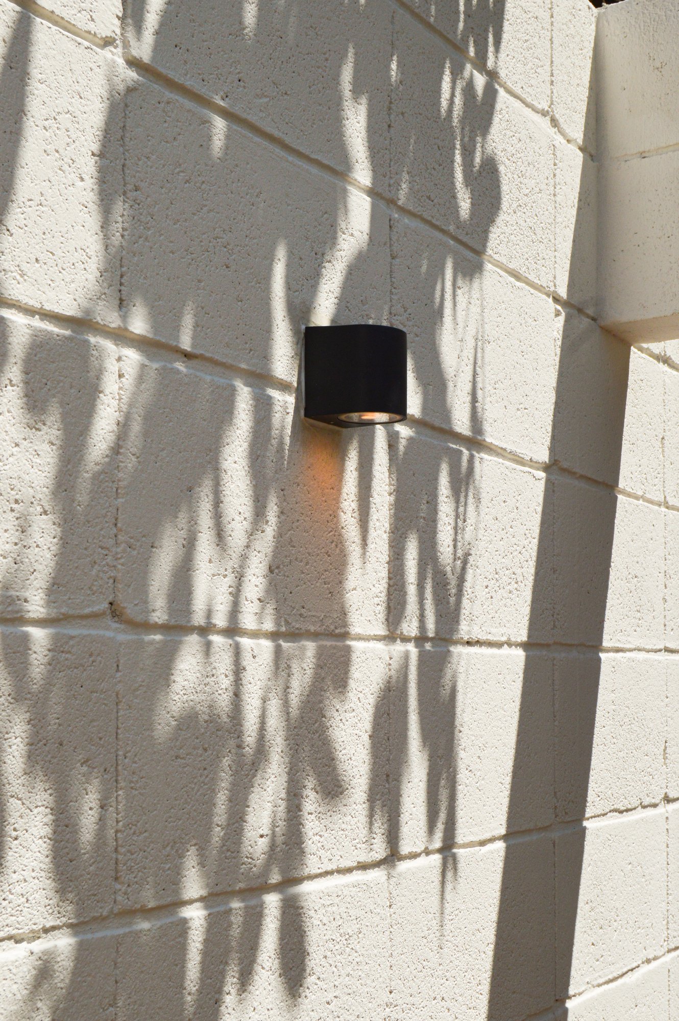 Lámpara de pared con sombras de hojas